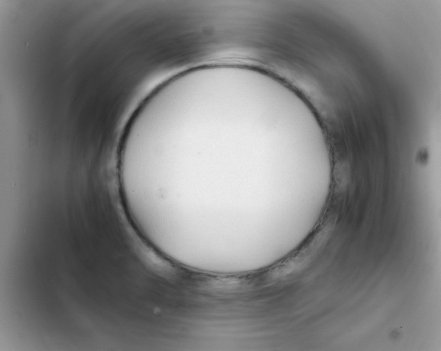 X0000103131470200809191929