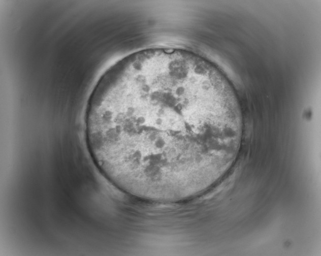 X0000103131471200809191929