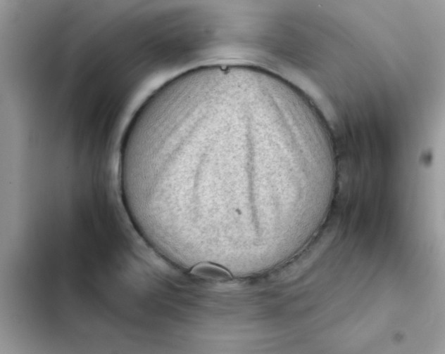 X0000103131472200809191929