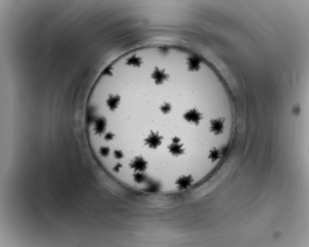 X0000103131473200809191929
