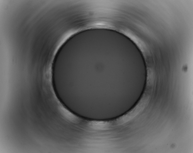 X0000103131474200809191929