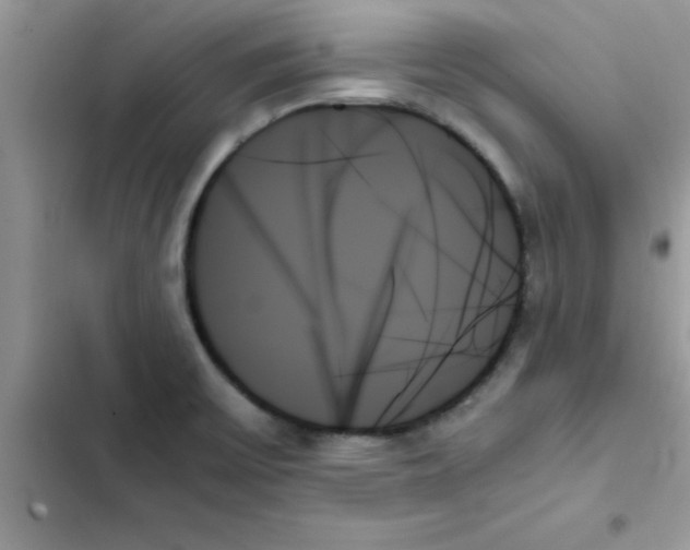 X0000103131475200809191929