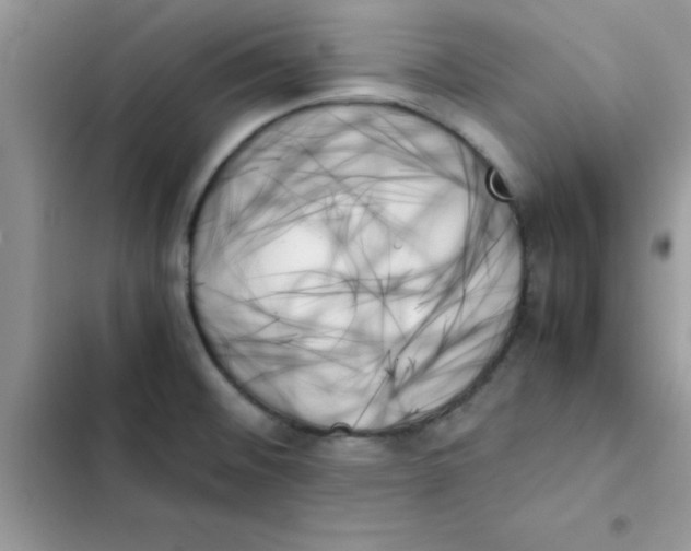 X0000103131476200809191929
