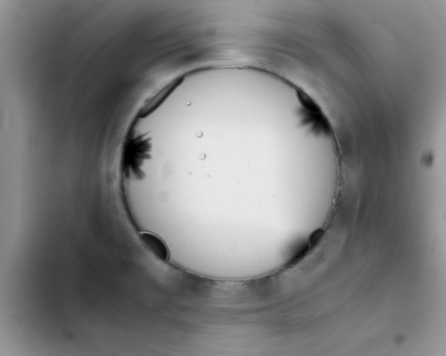 X0000103131477200809191929