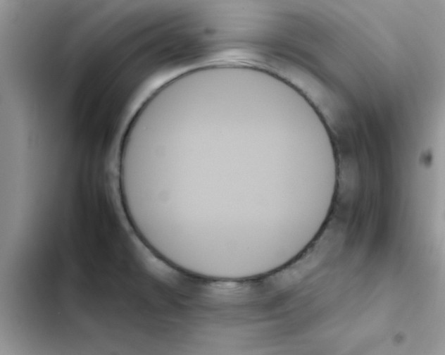 X0000103131478200809191929
