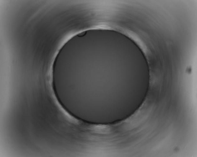 X0000103131479200809191929