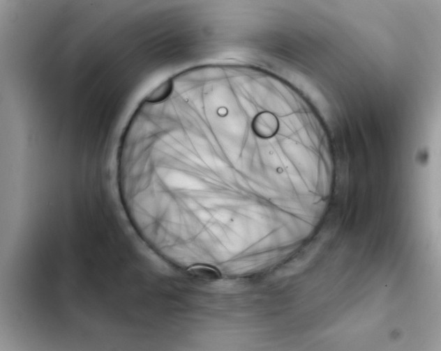 X0000103131480200809191929