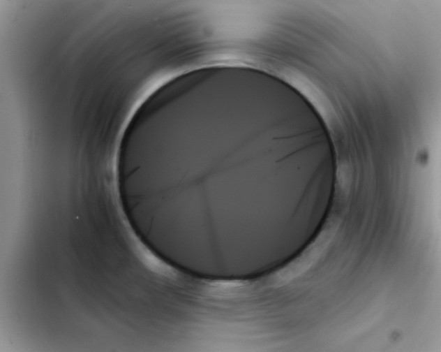 X0000103131482200809191929
