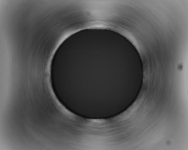 X0000103131483200809191929