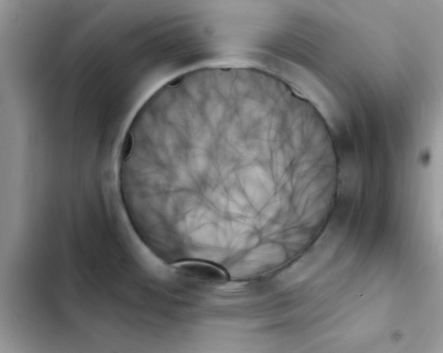 X0000103131484200809191929