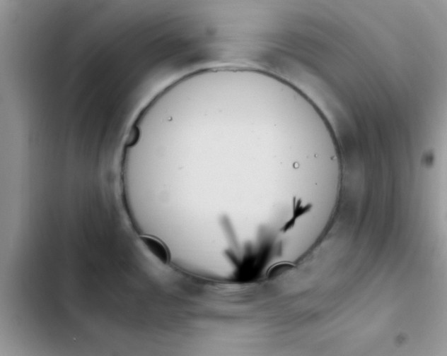 X0000103131485200809191929