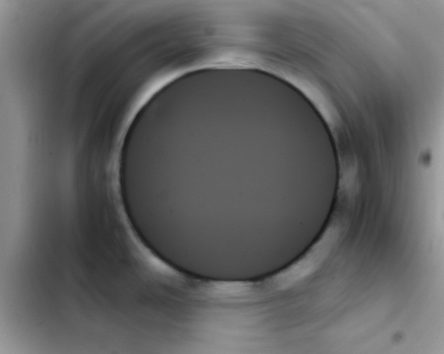 X0000103131486200809191929