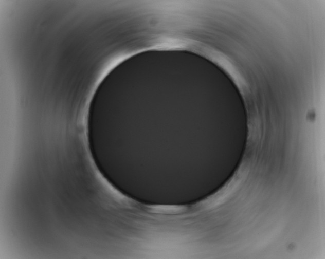 X0000103131487200809191929
