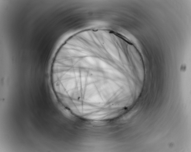 X0000103131488200809191929