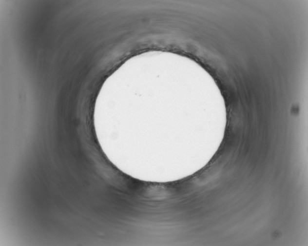 X0000103131489200809191929