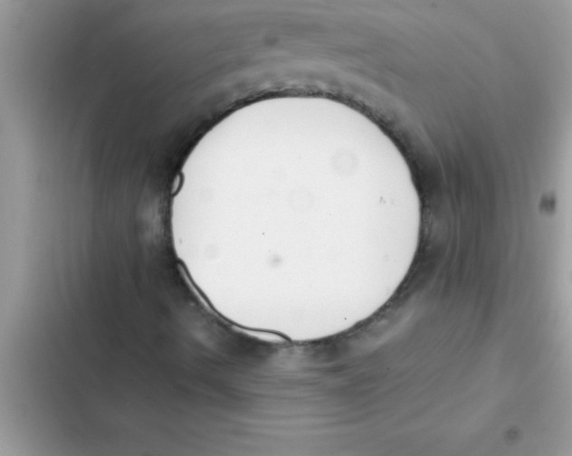 X0000103131490200809191929