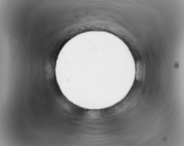 X0000103131491200809191929