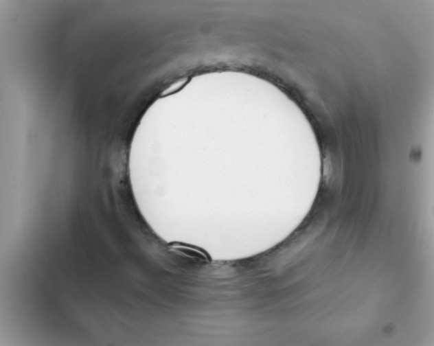 X0000103131492200809191929