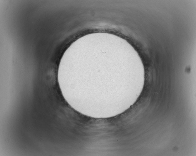 X0000103131493200809191929