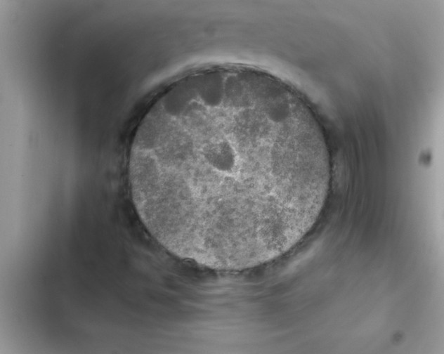 X0000103131494200809191929