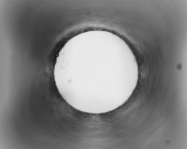 X0000103131495200809191929