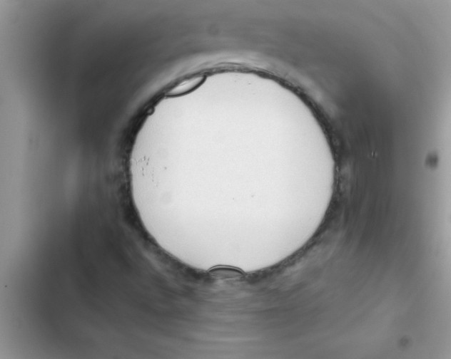 X0000103131496200809191929