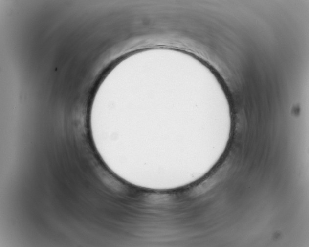 X0000103131499200809191929