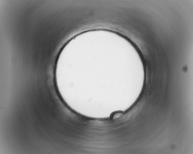 X0000103131500200809191929