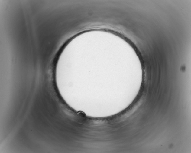 X0000103131501200809191929