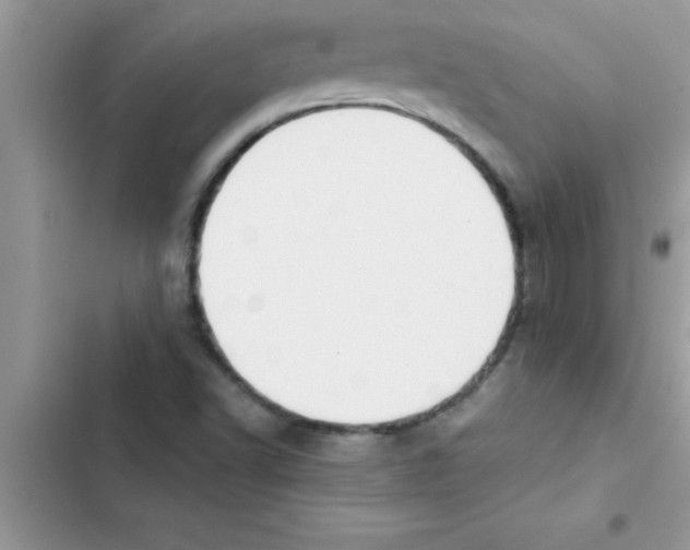 X0000103131502200809191929
