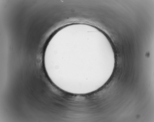 X0000103131503200809191929
