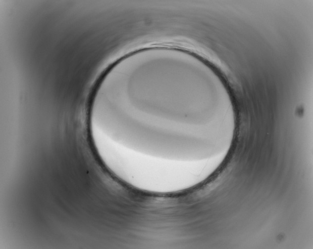X0000103131506200809191929