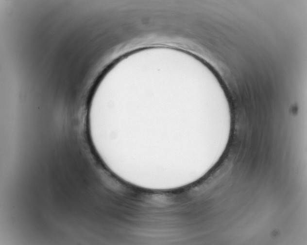 X0000103131507200809191929