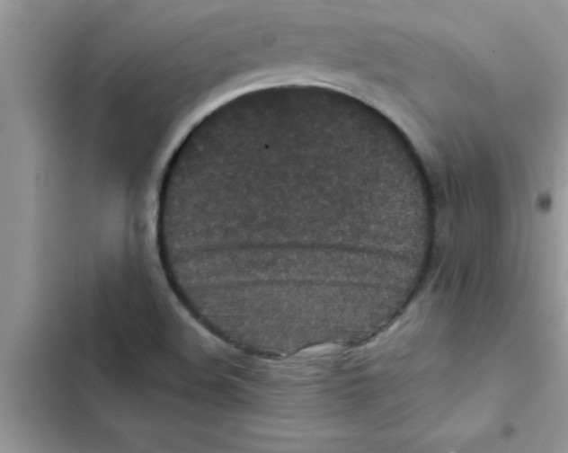 X0000103131508200809191929