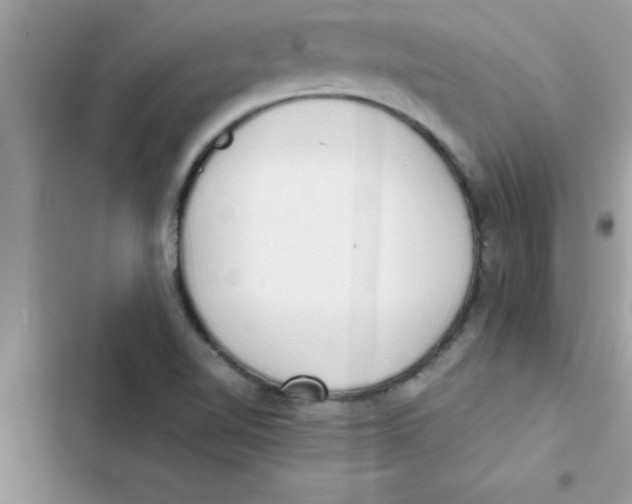 X0000103131510200809191929