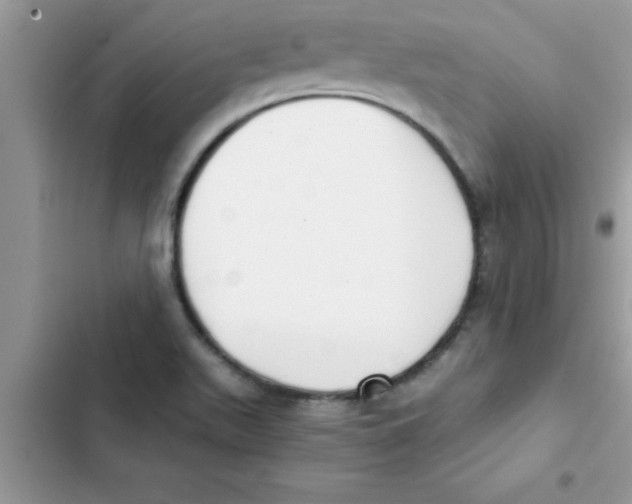 X0000103131511200809191929