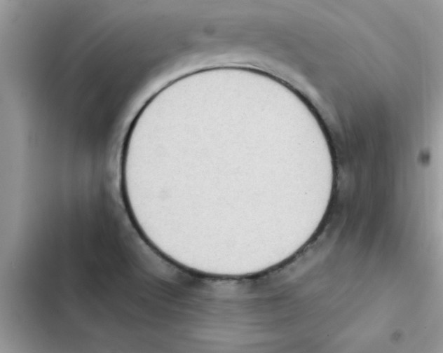 X0000103131512200809191929