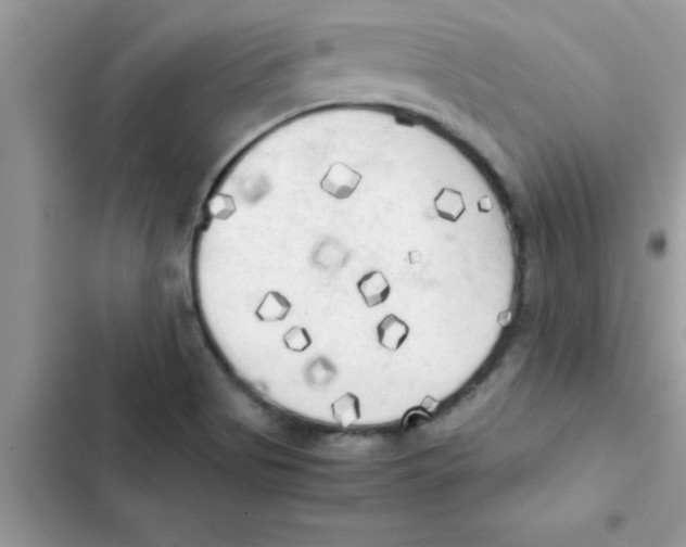 X0000103131513200809191929
