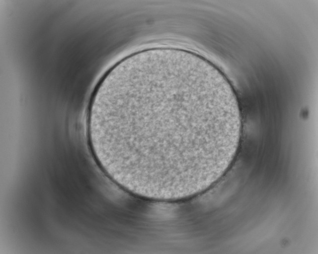 X0000103131514200809191929