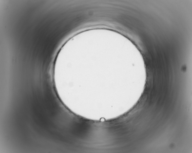 X0000103131516200809191929