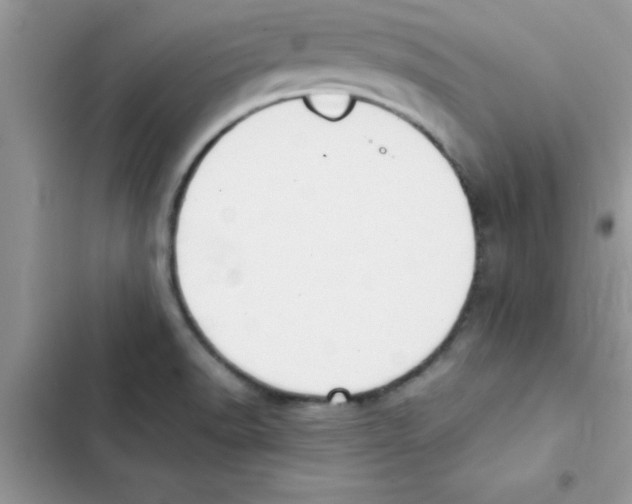 X0000103131518200809191929