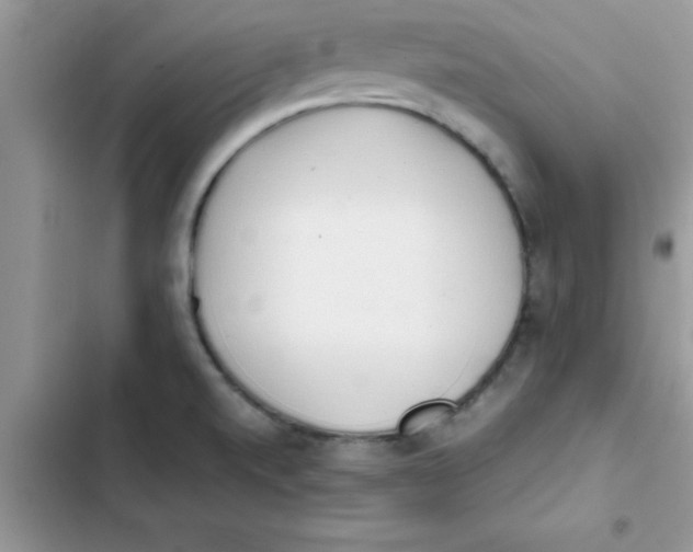 X0000103131520200809191929