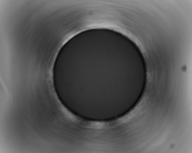 X0000103131521200809191929