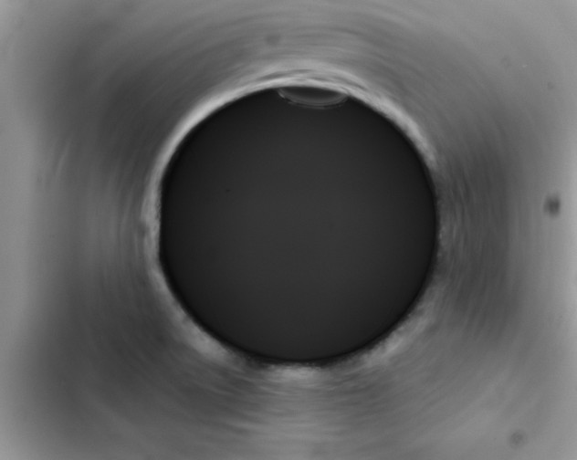 X0000103131522200809191929