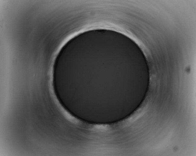 X0000103131523200809191929