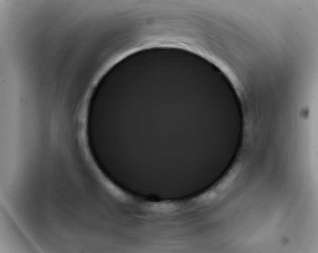 X0000103131525200809191929