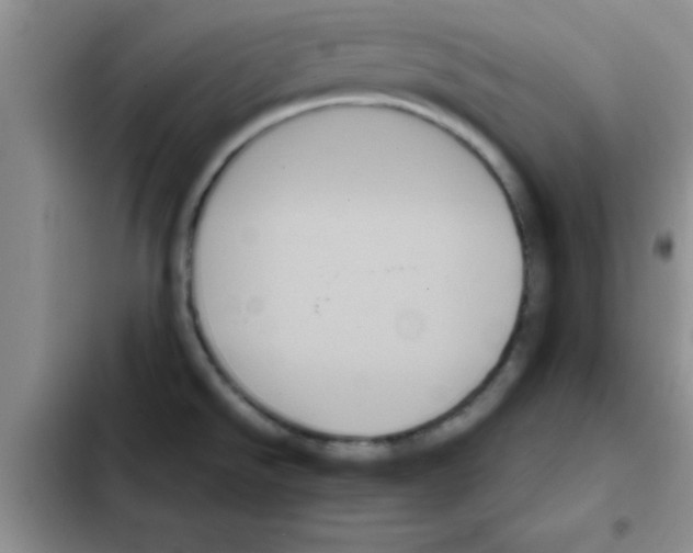 X0000103131526200809191929