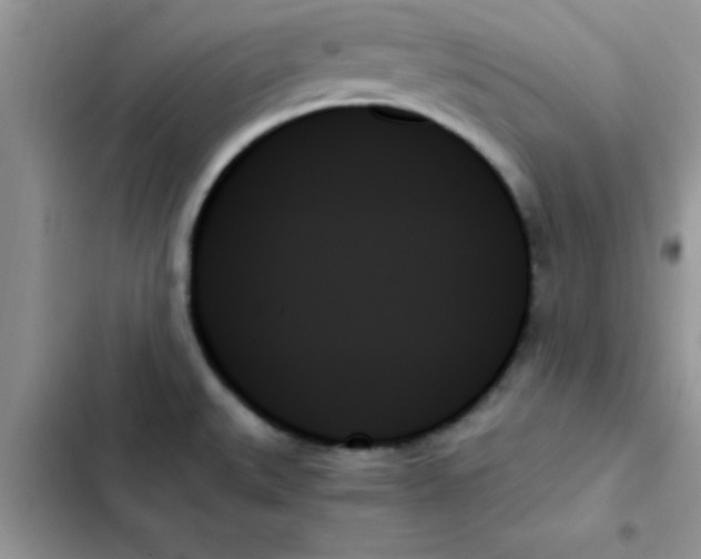 X0000103131527200809191929