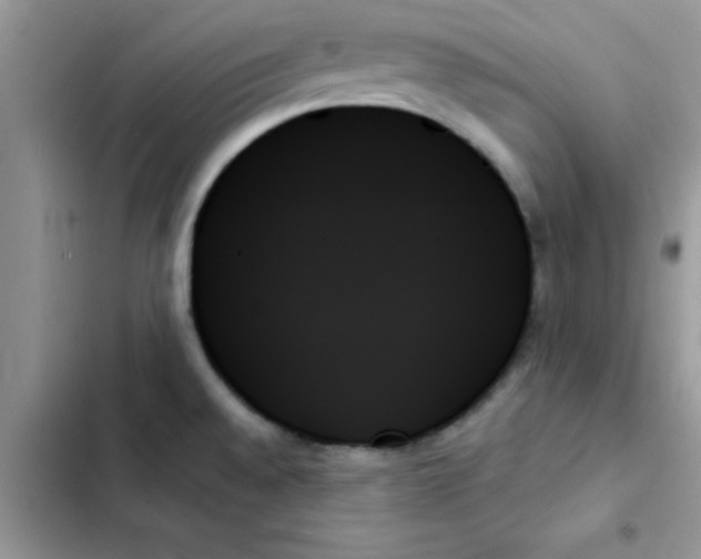 X0000103131528200809191929