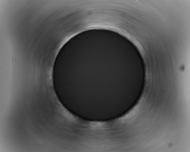 X0000103131529200809191929